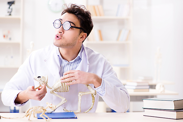 포토 JPG 해외이미지 동물 학생 교육 신체 유적 해부 뼈 골격 건강 설명 사람없음 반려동물 스터디 약 강사 교사 고양이 견과류 의사 역사 진화 개 과학자 공룡 화석 고생물 멸종 외과 선사시대 수의사 고고학 돌봄 인턴 해외202105 해외포토 직업 전통 과학 비즈니스 포유류 의학 파충류 모션 생물 병원 학습 의료진 소방 학자 파일형식