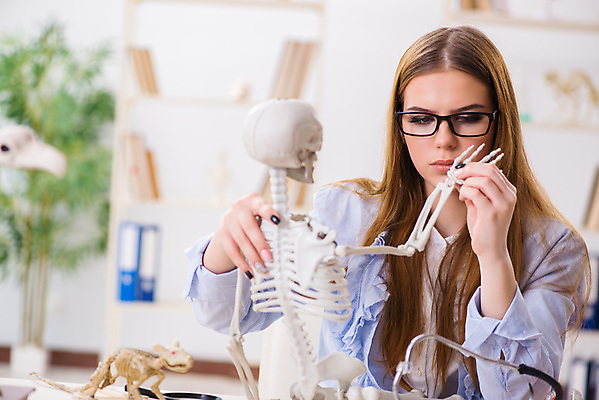 포토 JPG 해외이미지 응시 여자 대학생 의학 실내 병원 한명 들기 상반신 성인 앞모습 관찰 찡그림 의대생 뼈모형 성인여자한명만 안경낌 해외202105 해외포토 1 학생 시선 안경 뷰포인트 모션 표정 사람 내부 모형 여자한명만 성인여자만 파일형식