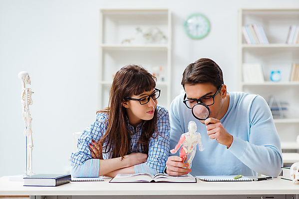 포토 JPG 해외이미지 학생 교육 신체 해부 교실 학교 돋보기 뼈 골격 건강 병원 설명 사람 사람없음 학습 스터디 약 강사 시험 환자 의사 확대 강의 척추 대학교 외과 돌봄 인턴 정형외과 치료사 해골모형 해외202105 해외포토 직업 비즈니스 의학 모션 모형 의료진 파일형식