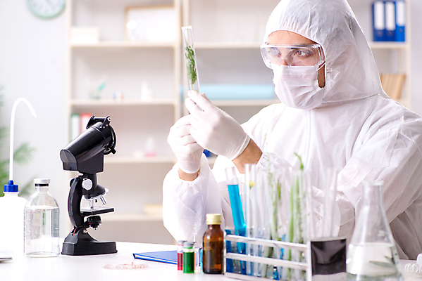 포토 JPG 해외이미지 잎 유리 건강 현미경 실험 가면 사람없음 초록색 약 의사 잡초 액체 삼 바이러스 보호 DNA 생명공학 연구원 약국 허브 과학자 분석 생물학 감염 미생물 튜브 박테리아 조제 마약 추출 화학물질 화학자 대마초 마리화나 해외202105 해외포토 식물 직업 교육 컬러 과학 컨셉 채소 의학 재질 생물 실험기구 의료진 화학 만들기 학자 파일형식