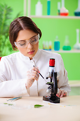 포토 JPG 해외이미지 학생 응시 여자 잎 건강 현미경 실험 사람없음 초록색 약 의사 잡초 액체 바이러스 DNA 생명공학 연구원 약국 허브 과학자 분석 생물학 미생물 박테리아 조제 떠남 마약 추출 화학물질 화학자 대마초 마리화나 해외202105 해외포토 식물 직업 시선 교육 컬러 과학 컨셉 의학 모션 생물 실험기구 사람 의료진 화학 만들기 학자 파일형식