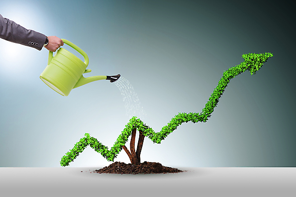 포토 JPG 해외이미지 나무 식물 지구 돈 비즈니스 자연 그래프 사람없음 초록색 금융 경제 세계 글로벌 지구본 환경 재활용 성장 비즈니스맨 오염 재산 캔 주식 발자국 물주기 에코 생태계 원예 투자 이익 유지 바이오 생태학 수입 탄소 해외202105 해외포토 교육 남자 컬러 자국 모션 취미 직장인 친환경 파일형식