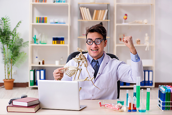 포토 JPG 해외이미지 동물 학생 교육 과학 유적 해부 뼈 골격 건강 실험 설명 사람없음 반려동물 스터디 약 강사 교사 고양이 견과류 의사 역사 쥐 강의 과학자 화석 고생물 멸종 선사시대 수의사 발견 고고학 돌봄 인턴 해외202105 해외포토 직업 전통 비즈니스 포유류 의학 모션 생물 학습 의료진 설치류 학자 파일형식