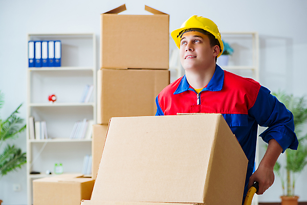 포토 JPG 해외이미지 직업 유니폼 크리스마스 비즈니스 포장 모션 노동자 사람없음 상자 사무실 쌓기 화물 업무 배달원 편지 우체부 배송 창고 서비스 경영자 패키지 수납 짐싸기 판지 꺼내기 분배 효과 해외202105 해외포토 옷 기념일 운송업 작업 리더 파일형식