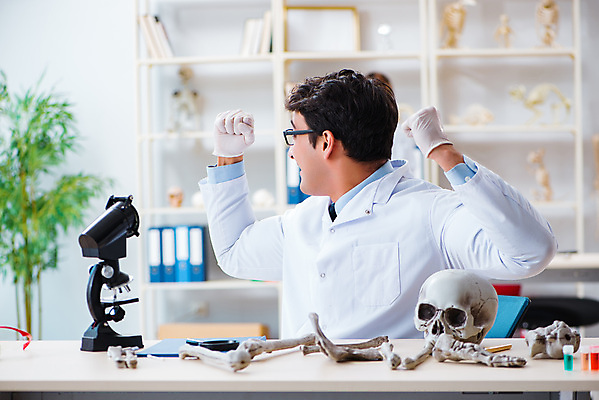 포토 JPG 해외이미지 교육 행복 과학 유적 해부 뼈 골격 현미경 실험 사람 사람없음 약 교수 의사 축하 역사 실험실 연구원 과학자 분석 대학교 고생물 선사시대 발견 고고학 비명 옛날 정형외과 해골모형 해외202105 해외포토 직업 전통 감정 컨셉 의학 학교 생물 병원 실험기구 모형 교사 의료진 학자 파일형식