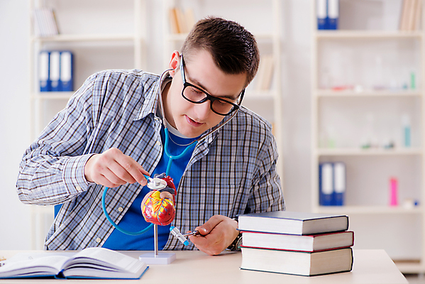포토 JPG 해외이미지 모델 학생 교육 과학 해부 교실 청진기 수업 건강 병원 사람없음 학습 약 시험 의사 하트 심장 도움 혈액 맥박 질병 망치 측정 대학교 외과 돌봄 심장병 인턴 치료사 연습생 해외202105 해외포토 모양 직업 컨셉 비즈니스 의학 학교 의료기기 모션 의료진 공구 장기_의학 연습 파일형식