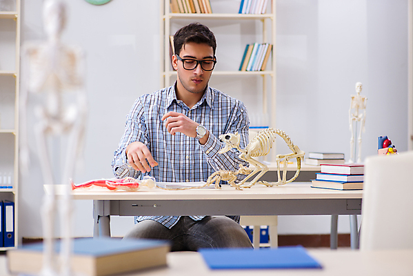 포토 JPG 해외이미지 응시 남자 대학생 실내 한명 앉기 상반신 성인 앞모습 소프트포커스 집중 동물뼈 뼈모형 성인남자한명만 안경낌 해외202105 해외포토 1 학생 시선 안경 뷰포인트 컨셉 모션 촬영기법 사람 내부 모형 남자한명만 성인남자만 파일형식