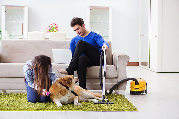 포토 JPG 해외이미지 동물 행복 가사 장난 가족 놀이 남편 주택 털 사람없음 반려동물 우정 카펫 방 붓 아내 황금 개 리트리버 강아지 청소 먼지 솜털 청소부 주인 몸단장 송곳니 기르기 동반자 위생관리 진공 해외202105 해외포토 직업 감정 포유류 관계 관리 건물 친구 치아 돌봄 파일형식