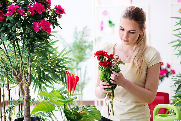 포토 JPG 해외이미지 나무 식물 라이프스타일 여자 꽃 꽃무늬 자연 주택 손바닥 취미 사람없음 초록색 물 장미 환경 상점 정원 봄 성장 신선 잡기 업무 개화 난초 캔 냄비 꽃집 물주기 원예 돌봄 심기 온실 원예사 해외202105 해외포토 자연요소 직업 손 계절 컬러 무늬 모션 사람 건물 생활 작업 솥 생태계 파일형식