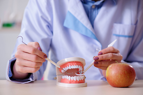 포토 JPG 해외이미지 모델 과일 건강 치과 병원 설명 사람없음 치료 약 강사 교사 거울 의사 기구 공구 입 치아 사과 청소 먹기 부식 치과의사 보여주기 비타민 턱 틀니 돌봄 블로거 위생관리 증상 치아교정 해외202105 해외포토 직업 의학 모션 관리 신체부위 의료진 도구 소화기관 교정 영양소 파일형식