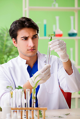 포토 JPG 해외이미지 학생 응시 잎 유리 건강 현미경 실험 사람없음 초록색 약 의사 잡초 삼 바이러스 DNA 생명공학 연구원 약국 허브 과학자 분석 생물학 미생물 튜브 조제 떠남 마약 추출 화학물질 화학자 대마초 마리화나 해외202105 해외포토 식물 직업 시선 교육 컬러 과학 컨셉 채소 의학 모션 재질 생물 실험기구 의료진 화학 만들기 학자 파일형식