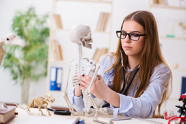 포토 JPG 해외이미지 여자 대학생 청진기 실내 한명 들기 상반신 성인 옆모습 집중 의대생 뼈모형 성인여자한명만 안경낌 해외202105 해외포토 1 학생 안경 뷰포인트 컨셉 의료기기 모션 사람 내부 모형 여자한명만 성인여자만 파일형식