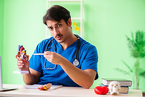 포토 JPG 해외이미지 모델 학생 교육 과학 해부 교실 건강 병원 설명 사람없음 학습 약 강사 교사 시험 의사 하트 심장 가리킴 도움 혈액 맥박 질병 공격 강의 대학교 보여주기 돌봄 심장병 인턴 치료사 연습생 해외202105 해외포토 모양 직업 컨셉 비즈니스 의학 학교 모션 손짓 의료진 장기_의학 연습 파일형식