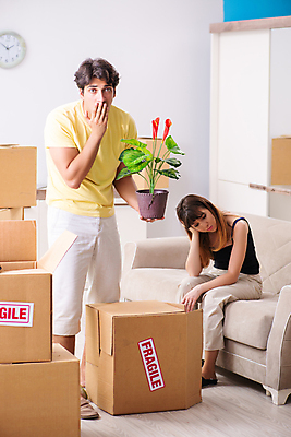 포토 JPG 해외이미지 나무 식물 커플 포장 가족 교통시설 모션 남편 새로움 아파트 주택 경고 사람없음 상자 라벨 쌓기 화물 아내 좌절 냄비 컨테이너 배송 서비스 사인 패키지 짐싸기 판지 꺼내기 취급주의 혼란 해외202105 해외포토 감정 산업 교통 컨셉 관계 프레임 건물 운송업 솥 시설 파일형식