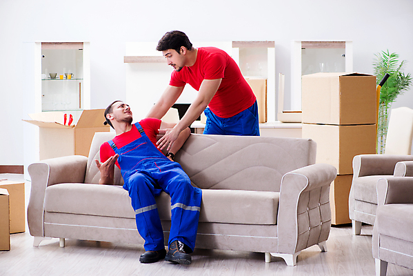 포토 JPG 해외이미지 직업 가구 2 비즈니스 포장 모션 노동자 사람없음 상자 소파 사무실 고통 화물 업무 배달원 컨테이너 토론 배송 창고 서비스 패키지 수납 적재 짐싸기 판지 꺼내기 계약자 분배 요통 해외202105 해외포토 감정 산업 생활용품 의자 운송업 작업 계약 허리통증 파일형식