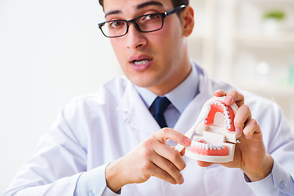 포토 JPG 해외이미지 응시 남자 의학 실내 치과 병원 한명 들기 상반신 성인 앞모습 치과의사 치아모형 성인남자한명만 안경낌 해외202105 해외포토 1 시선 안경 뷰포인트 모션 사람 내부 의사 치아 남자한명만 성인남자만 파일형식