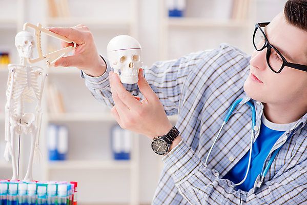 포토 JPG 해외이미지 응시 남자 대학생 실내 한명 들기 상반신 성인 옆모습 의대생 측정도구 뼈모형 해골모형 성인남자한명만 안경낌 해외202105 해외포토 1 학생 시선 안경 뷰포인트 모션 사람 내부 모형 도구 남자한명만 성인남자만 파일형식