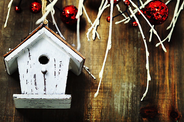 포토 JPG 해외이미지 크리스마스장식 크리스마스 사람없음 하이앵글 나뭇가지 새장 나무탁자 오너먼트 해외202004 해외포토 나무 기념일 뷰포인트 탁자 케이지 파일형식