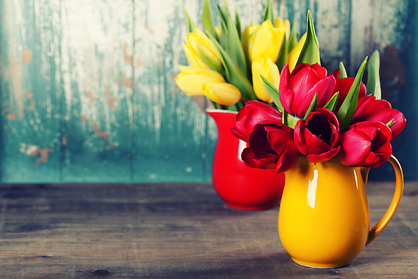 포토 JPG 해외이미지 꽃다발 실내 사람없음 꽃병 튤립 파란배경 해외202004 해외포토 꽃 백그라운드 내부 파란색 파일형식