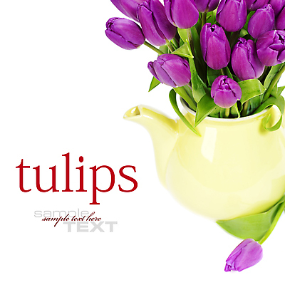 포토 JPG 해외이미지 잎 사람없음 꽃병 튤립 흰배경 카피스페이스 해외202004 해외포토 식물 꽃 백그라운드 공백 흰색 파일형식