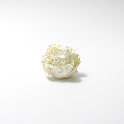 포토 JPG 해외이미지 1 종이 백그라운드 컨셉 공 사람없음 사무실 우주 공백 장비 흰색 거친 주름 쓰레기 폐기물 자르기 오브젝트 싱글 슛 페이지 시트 찌그러짐 고립 구김 그런지 폐휴지 해외202004 해외202105 해외포토 컬러 비즈니스 모션 화장지 파일형식