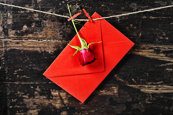 포토 JPG 해외이미지 편지봉투 실내 매달리기 사람없음 장미 편지 나무바닥 노끈 나무집게 해외202004 해외포토 꽃 줄 모션 봉투 바닥 집게 내부 목재 파일형식