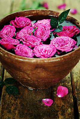 포토 JPG 해외이미지 꽃잎 근접촬영 사람없음 장미 스파 사발 스파용품 아로마테라피 해외202004 해외포토 꽃 뷰포인트 사기그릇 오브젝트 테라피 파일형식