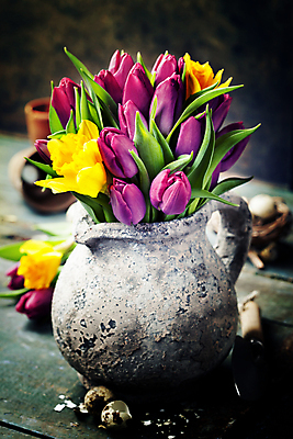 포토 JPG 해외이미지 검은배경 부활절 사람없음 튤립 부활절계란 메추리알 나무탁자 해외202004 해외포토 기념일 꽃 백그라운드 탁자 계란 알 검은색 파일형식