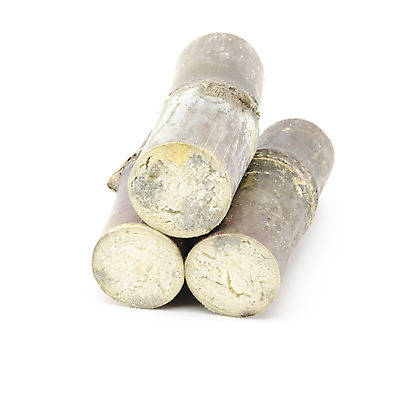 포토 JPG 해외이미지 식물 산업 음료 음식 줄기 백그라운드 밭 농업 태국 자연 지팡이 건강 사람없음 초록색 농장 갈색 노란색 보라색 주스 수확 껍질 흰색 신선 사발 달콤 설탕 자르기 먹기 허브 유기농 섬유 고립 바이오 밭일 스카우트 식용 사탕수수 해외202004 해외202105 해외포토 웰빙 아시아 컬러 모션 직물 사기그릇 맛 생태계 파일형식