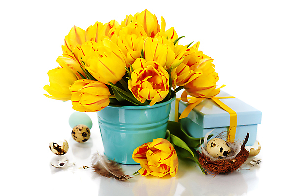 포토 JPG 해외이미지 화분 꽃다발 부활절 실내 사람없음 선물상자 튤립 둥지 깃털 흰배경 부활절계란 메추리알 해외202004 해외포토 기념일 꽃 백그라운드 선물 내부 상자 계란 알 흰색 파일형식