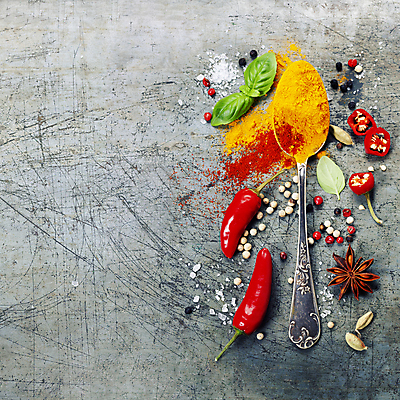 포토 JPG 해외이미지 식재료 회색배경 사람없음 하이앵글 숟가락 두개 향신료 매움 홍고추 소금 후추 바질 고춧가루 해외202004 팔각회향 해외포토 뷰포인트 백그라운드 2 고추 수저 회색 맛 가루 향미료 파일형식