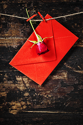 포토 JPG 해외이미지 편지봉투 실내 매달리기 사람없음 장미 편지 나무바닥 노끈 나무집게 해외202004 해외포토 꽃 줄 모션 봉투 바닥 집게 내부 목재 파일형식