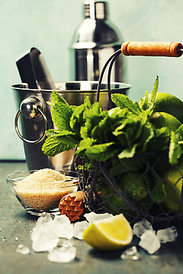 포토 JPG 해외이미지 그릇 집게 사람없음 바구니 얼음 설탕 민트 양동이 라임 모히토 쉐이커 민트색배경 해외202004 해외포토 자연요소 식기 백그라운드 과일 칵테일 허브 민트색 파일형식