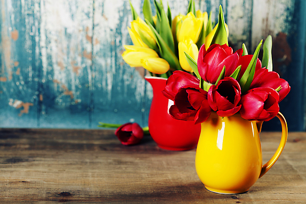 포토 JPG 해외이미지 꽃다발 실내 사람없음 아웃포커스 꽃병 튤립 원예 파란배경 해외202004 해외포토 꽃 백그라운드 촬영기법 취미 내부 파란색 파일형식