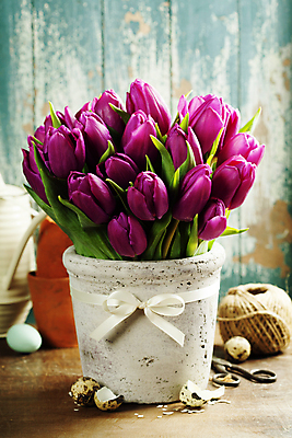 포토 JPG 해외이미지 꽃잎 부활절 사람없음 튤립 부활절계란 노끈 나무벽 메추리알 나무탁자 해외202004 해외포토 기념일 꽃 줄 벽 탁자 목재 계란 알 파일형식