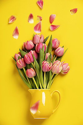 포토 JPG 해외이미지 꽃잎 꽃다발 실내 사람없음 하이앵글 꽃병 튤립 노란배경 해외202004 흩어짐 해외포토 꽃 뷰포인트 백그라운드 컨셉 내부 노란색 파일형식