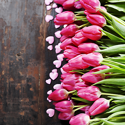 포토 JPG 해외이미지 실내 사람없음 하이앵글 튤립 하트 나무탁자 카피스페이스 해외202004 해외포토 모양 꽃 뷰포인트 탁자 내부 공백 파일형식