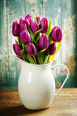 포토 JPG 해외이미지 꽃잎 실내 사람없음 튤립 나무벽 나무탁자 해외202004 해외포토 꽃 벽 탁자 내부 목재 파일형식