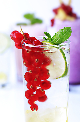 포토 JPG 해외이미지 잔 실내 사람없음 아웃포커스 레모네이드 민트 라임 레드커런트 해외202004 해외202105 해외포토 식기 열매 과일 촬영기법 내부 허브 에이드 파일형식