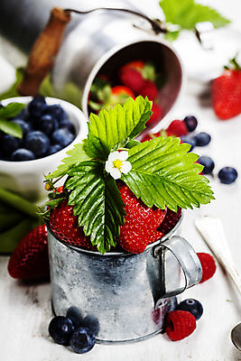 포토 JPG 해외이미지 딸기 사람없음 아웃포커스 컵 담기 블루베리 산딸기 블랙베리 해외202004 해외포토 식기 과일 모션 촬영기법 파일형식