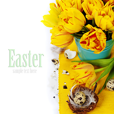 포토 JPG 해외이미지 화분 꽃다발 부활절 실내 타이포그라피 사람없음 튤립 껍질 둥지 깃털 흰배경 메추리알 카피스페이스 해외202004 해외포토 문자 기념일 꽃 백그라운드 내부 알 공백 흰색 파일형식