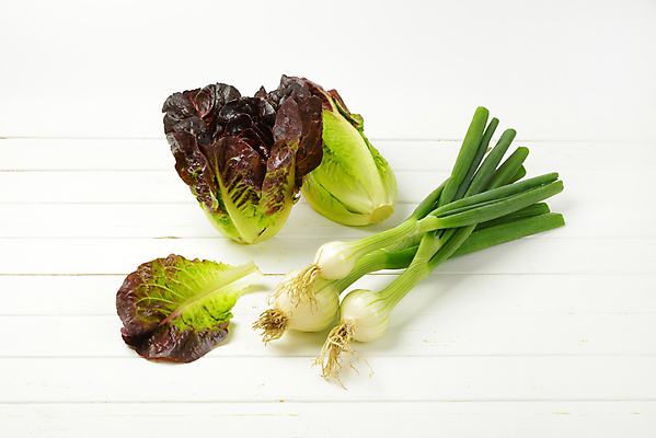 포토 JPG 해외이미지 웰빙 양파 실내 사람없음 신선 상추 흰배경 유기농 해외202004 해외202105 해외포토 백그라운드 채소 내부 흰색 파일형식