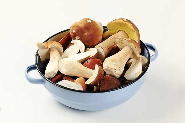 포토 JPG 해외이미지 식재료 실내 사람없음 버섯 냄비 가득함 담기 해외202004 해외202105 해외포토 모션 내부 솥 파일형식