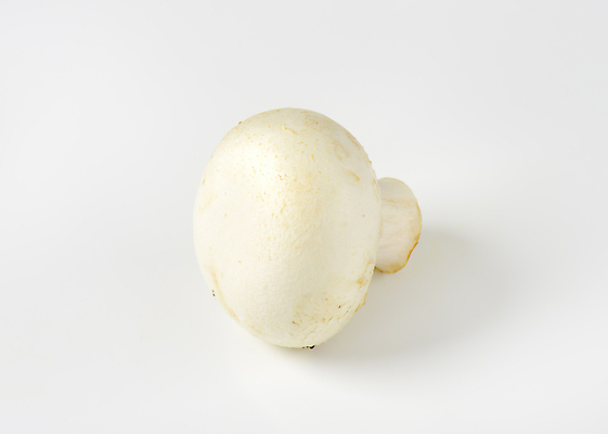 포토 JPG 해외이미지 스튜디오촬영 식재료 실내 사람없음 흰배경 양송이 해외202004 해외202105 해외포토 백그라운드 내부 버섯 흰색 파일형식