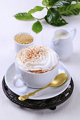 포토 JPG 해외이미지 잎 실내 사람없음 커피잔 티스푼 컵받침 흰배경 시나몬가루 비엔나커피 시럽컵 황설탕 휘핑크림 해외202004 해외202105 해외포토 식물 커피 백그라운드 잔 내부 숟가락 흰색 가루 설탕 받침대 크림 시나몬 휘핑 파일형식