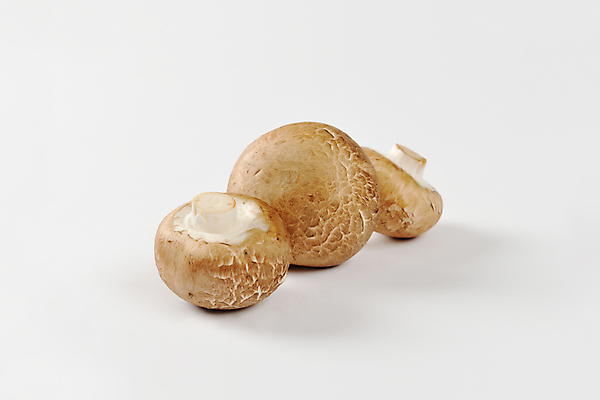 포토 JPG 해외이미지 식재료 실내 사람없음 양송이 해외202004 해외202105 해외포토 내부 버섯 파일형식