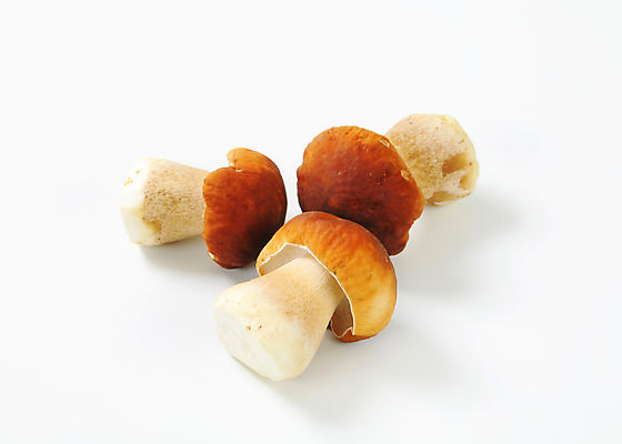 포토 JPG 해외이미지 스튜디오촬영 식재료 실내 사람없음 흰배경 그물버섯 해외202004 해외202105 해외포토 백그라운드 내부 버섯 흰색 파일형식