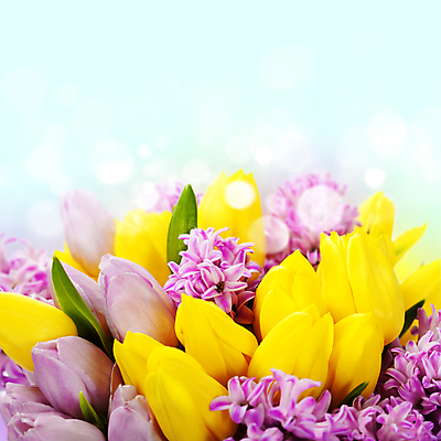 포토 JPG 해외이미지 꽃다발 봄꽃 실내 사람없음 튤립 파란배경 빛망울 히아신스 카피스페이스 해외202004 해외포토 꽃 백그라운드 내부 파란색 빛 봄 공백 파일형식