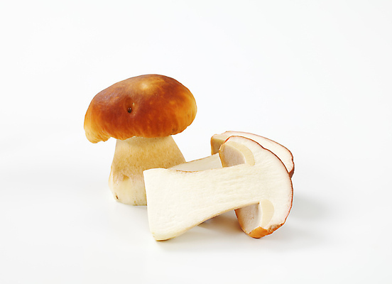 포토 JPG 해외이미지 스튜디오촬영 식재료 단면 실내 사람없음 흰배경 슬라이스 그물버섯 해외202004 해외202105 해외포토 백그라운드 내부 버섯 흰색 파일형식