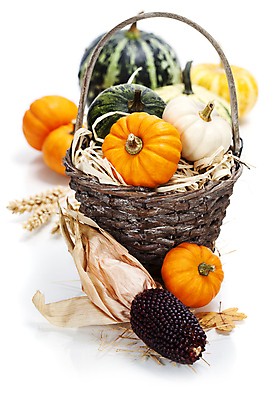 포토 JPG 해외이미지 낙엽 호박 실내 사람없음 농작물 바구니 벼 가을 흰배경 추수감사절 흑찰옥수수 해외202004 해외포토 계절 기독교 백그라운드 잎 농업 채소 곡류 내부 흰색 찰옥수수 파일형식